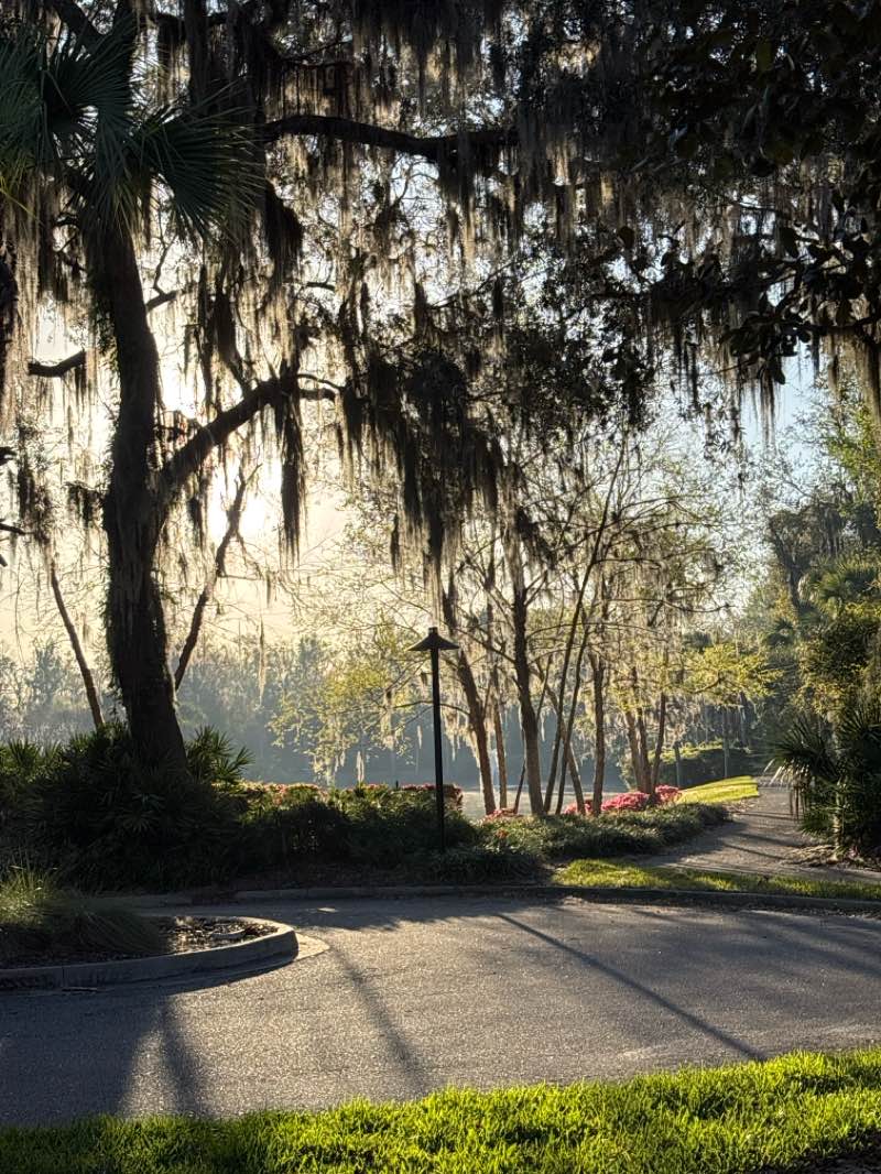 walking near me in River Town Park in spring