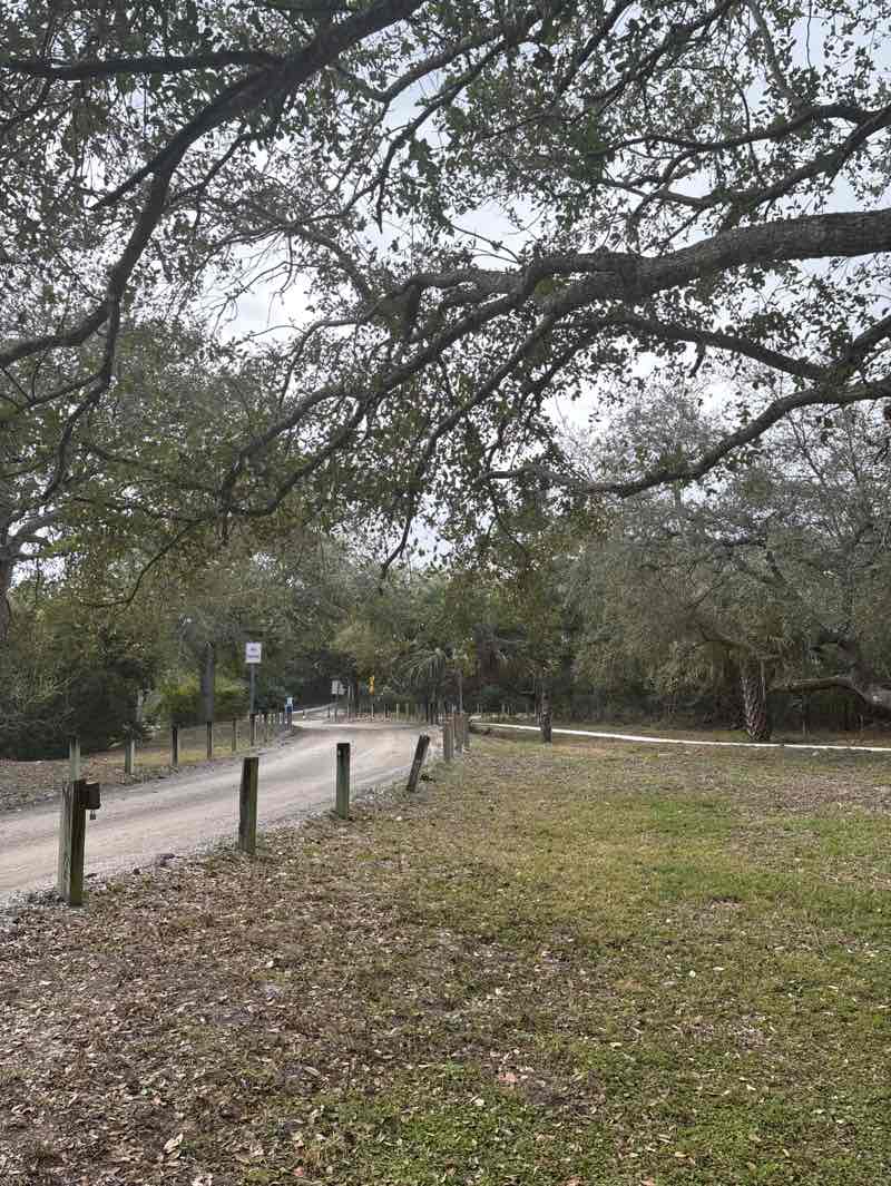 walking near me in Ocean Hammock Park in winter