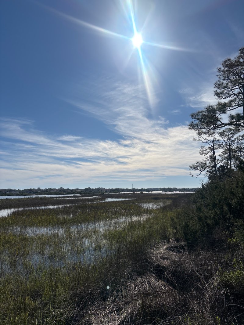 walking near me in Pomar Park in winter