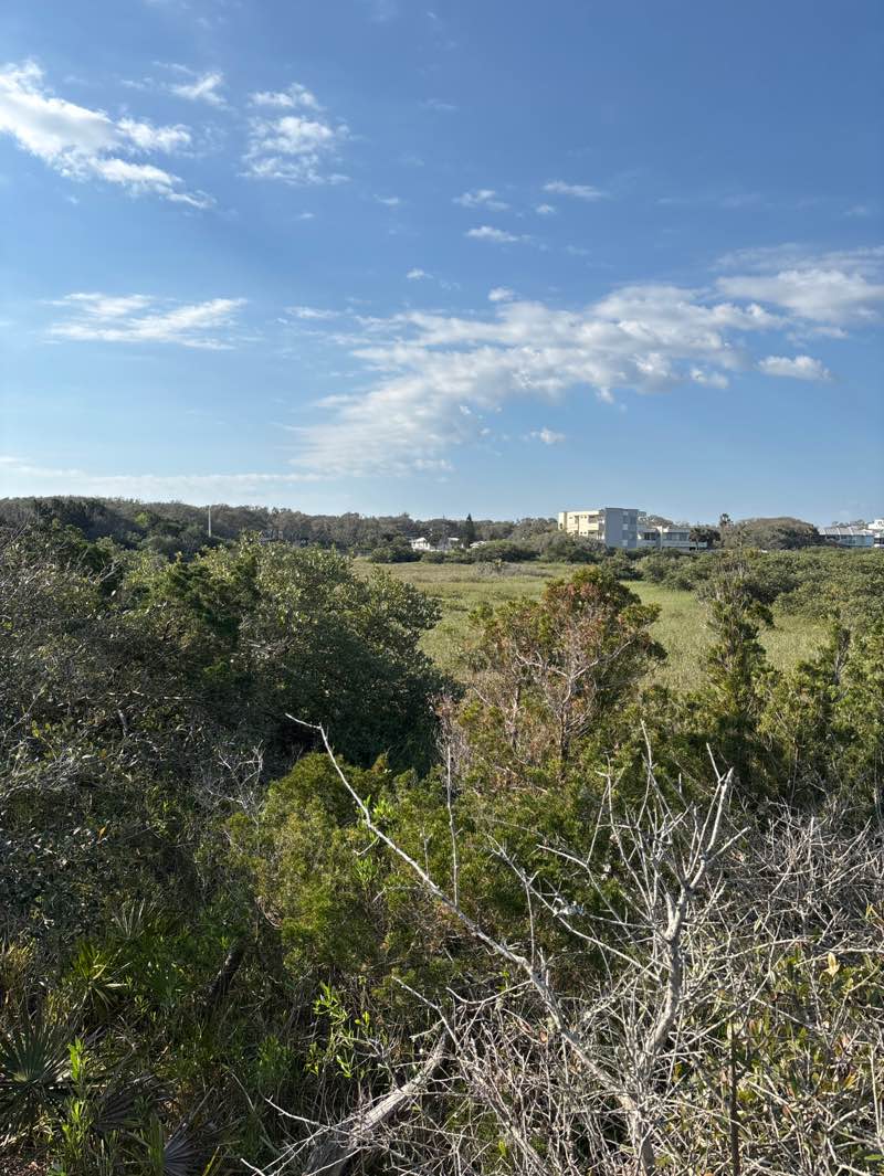 walking near me in Nease Beachfront Park in winter