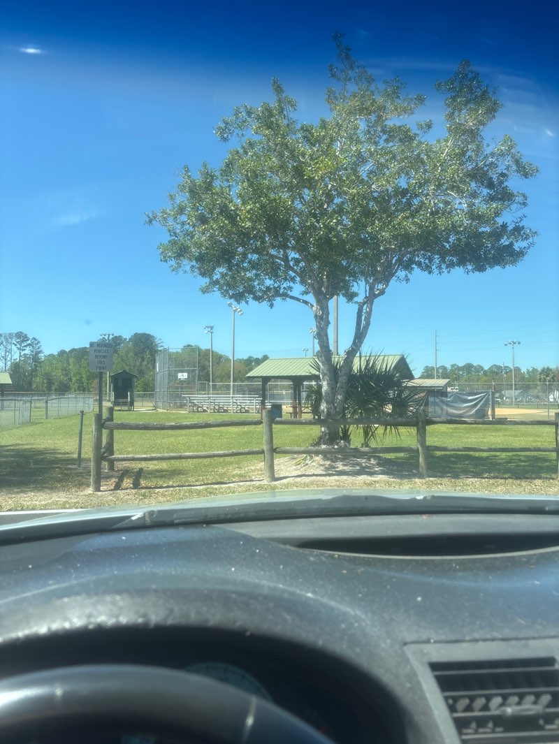 walking near me in Armstrong Park in spring