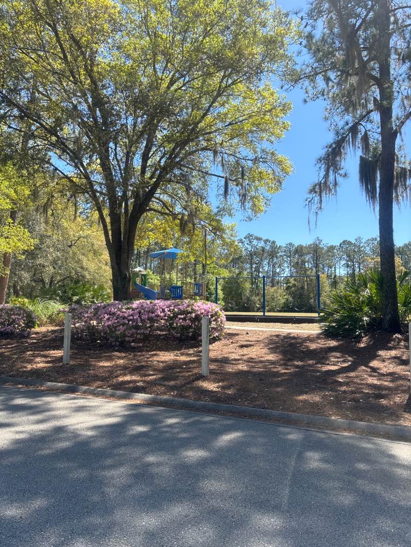 walking near me in Forest Park in spring