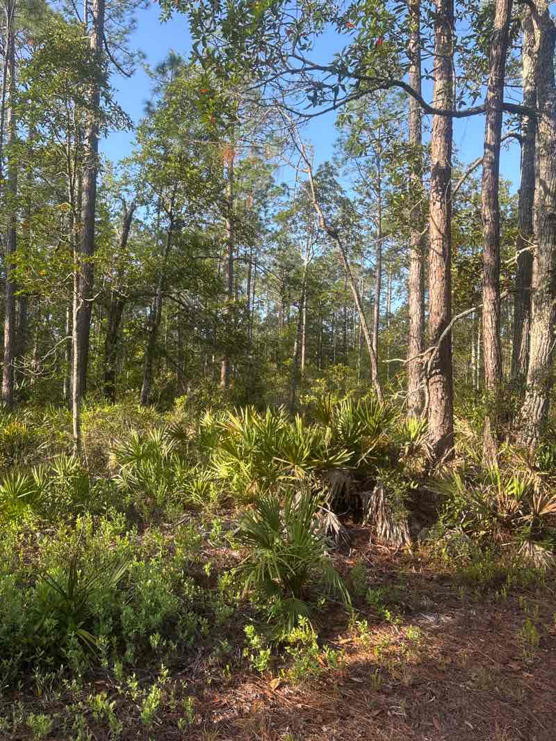 walking near me in Bayard Wildlife Management Area 4 in spring