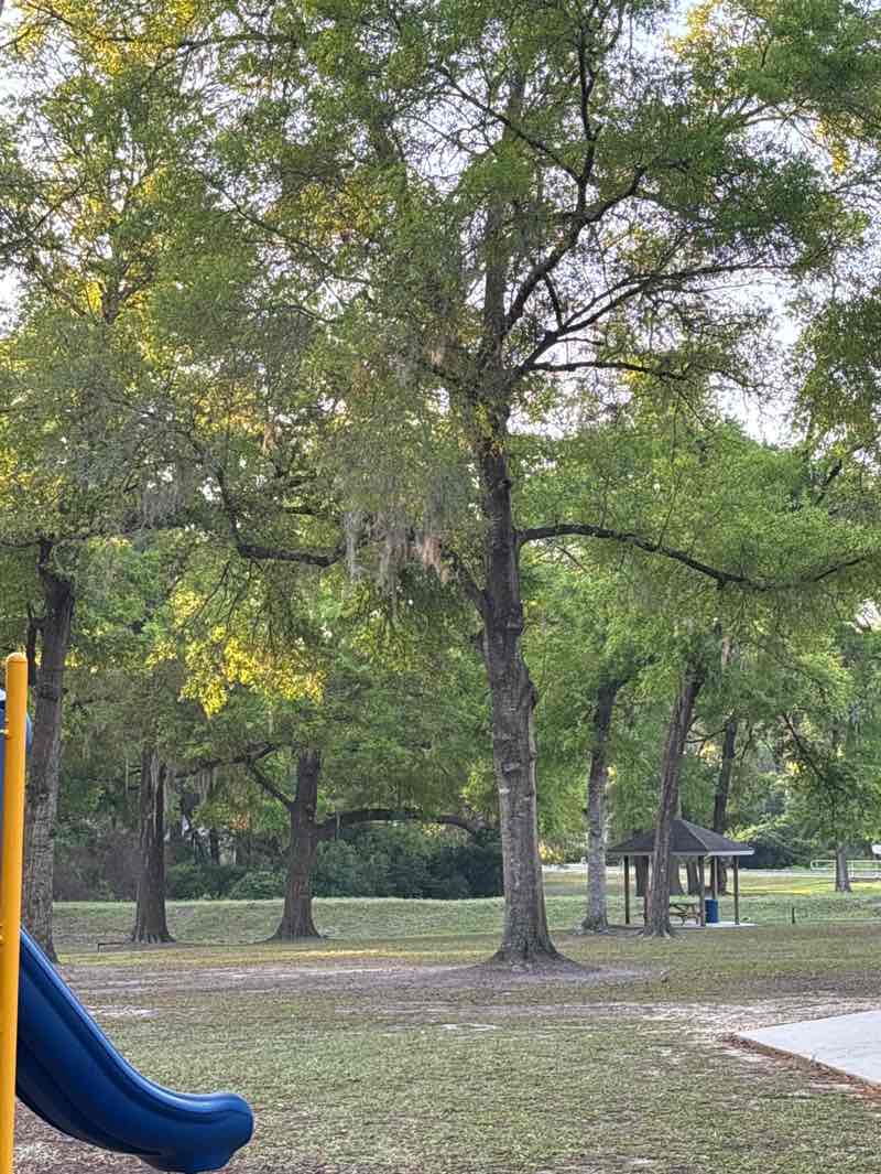 walking near me in Lois Forte Park in spring
