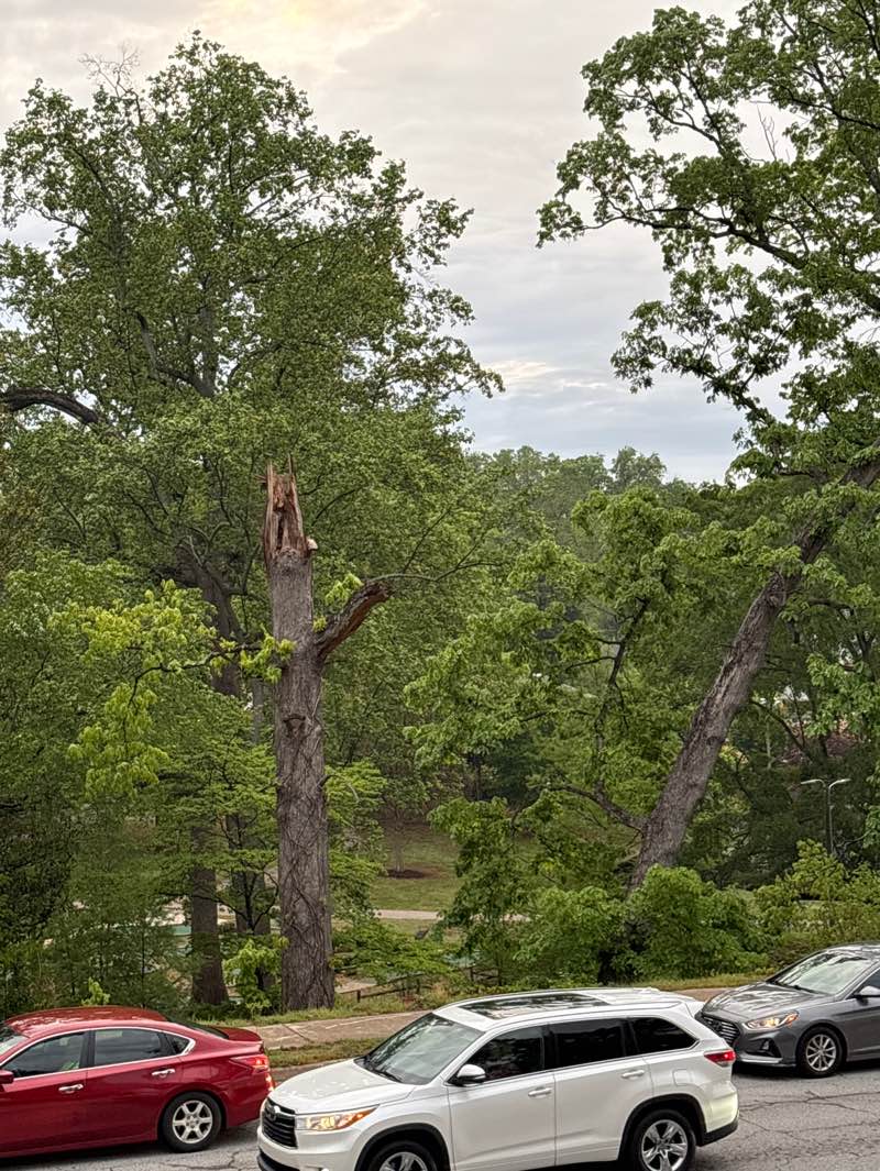 walking near me in McPherson Park in spring
