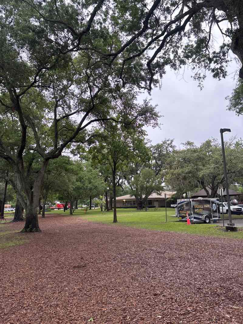 walking near me in Town Hall Park in spring