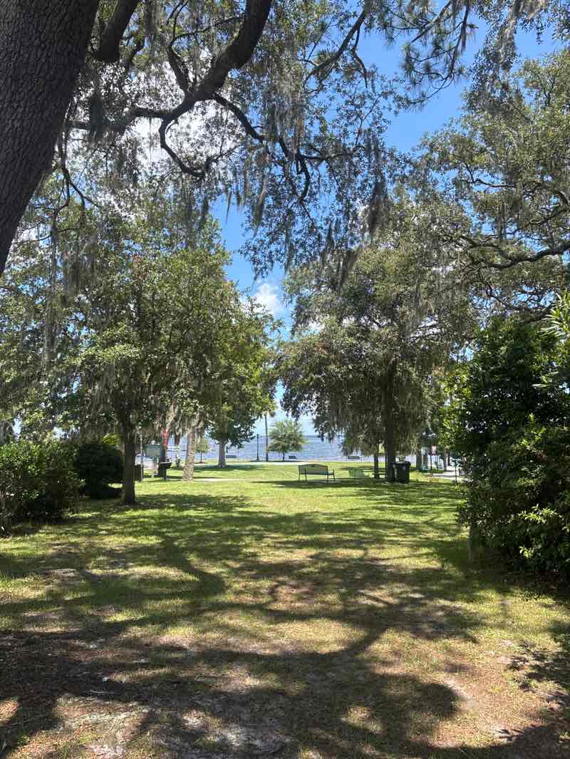 walking near me in Spring Park in summer
