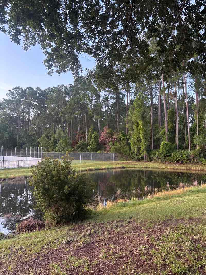 walking near me in Thunderbolt Park in summer