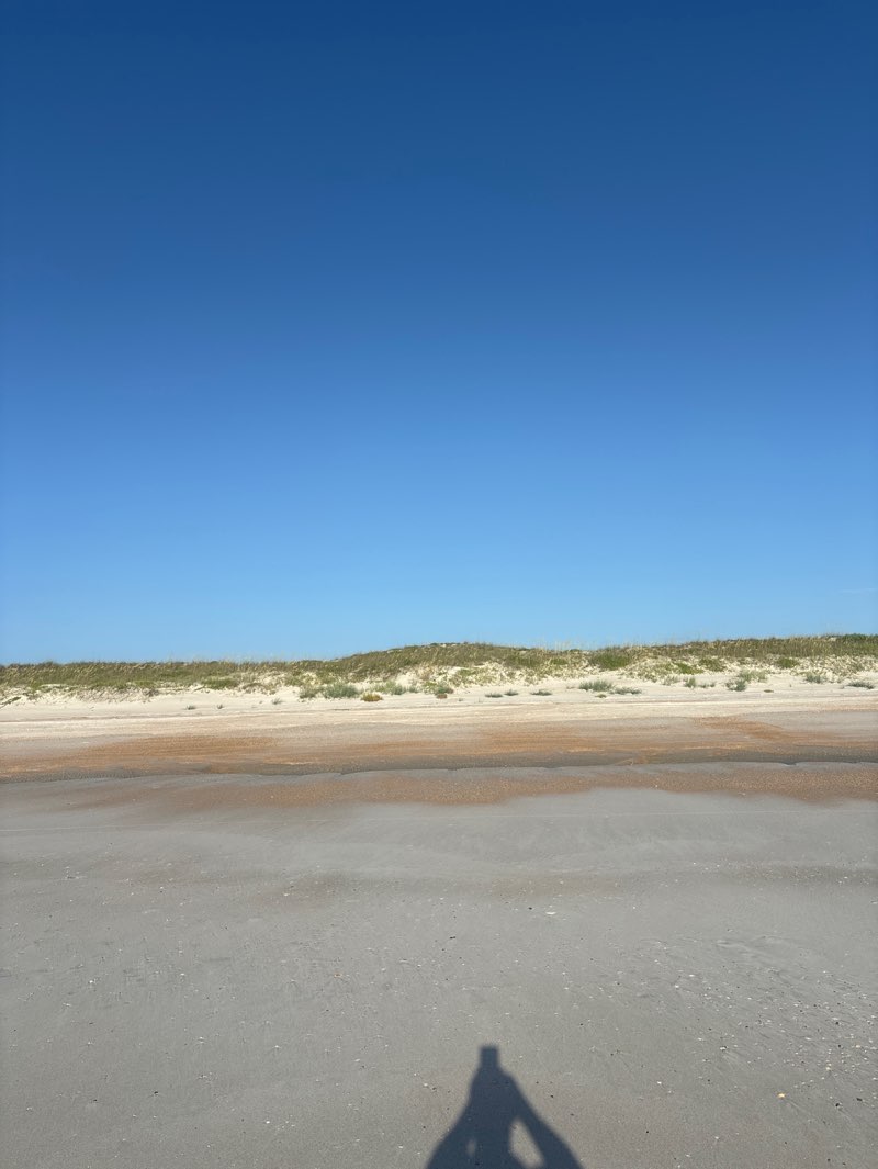 walking near me in Anastasia State Park in summer
