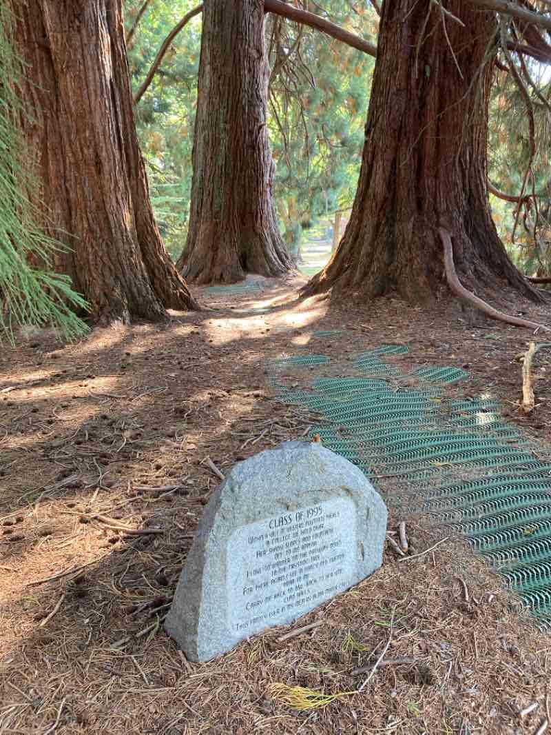 walking near me in MU Quad in winter