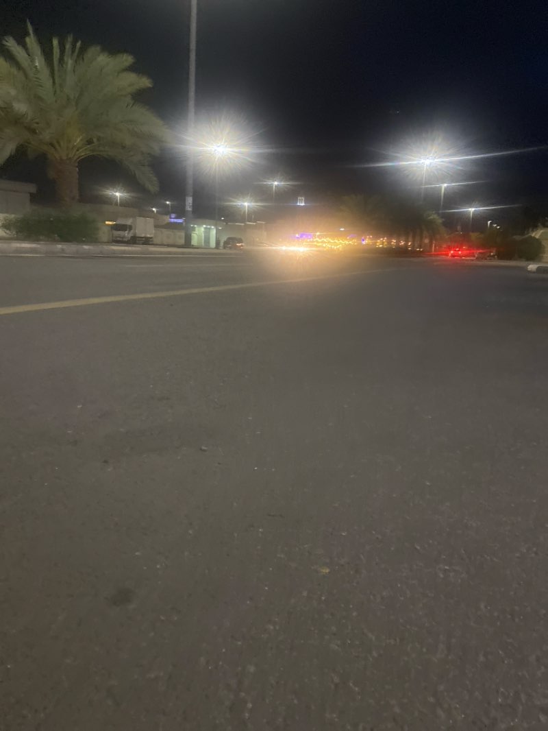 walking near me in Qiblatayn Garden in winter