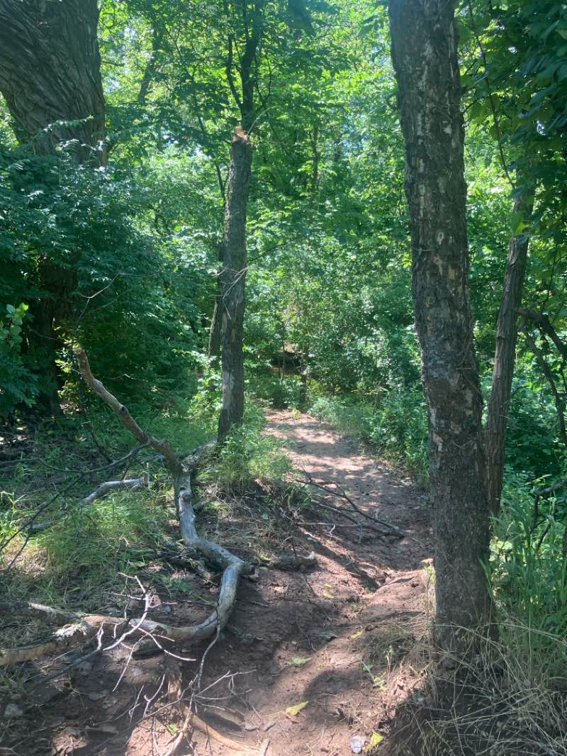 walking near me in Bluff Creek Park in summer