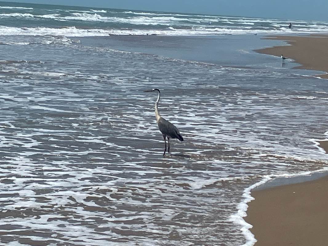 walking near me in Andy Bowie County Park in summer