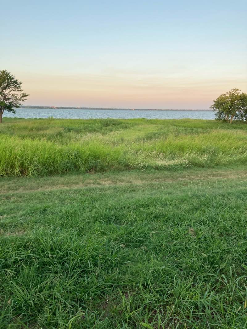 walking near me in Lions Childrens' Park in autumn