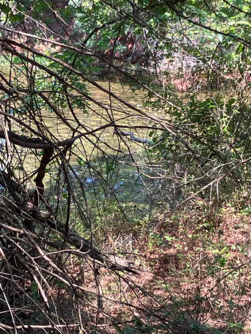walking near me in Bluff Creek Park in autumn