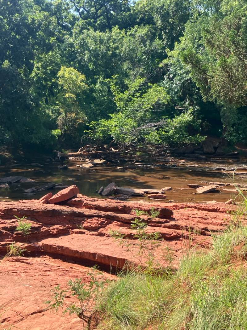 walking near me in Martin Park Nature Center in autumn