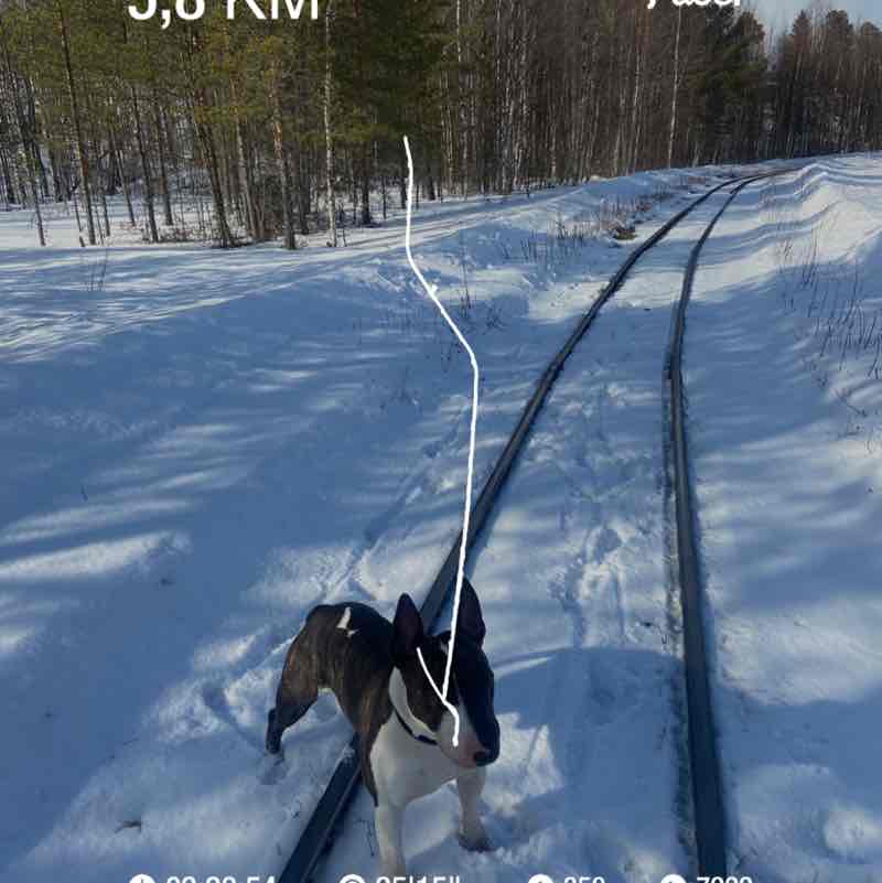 Юлия post 1
