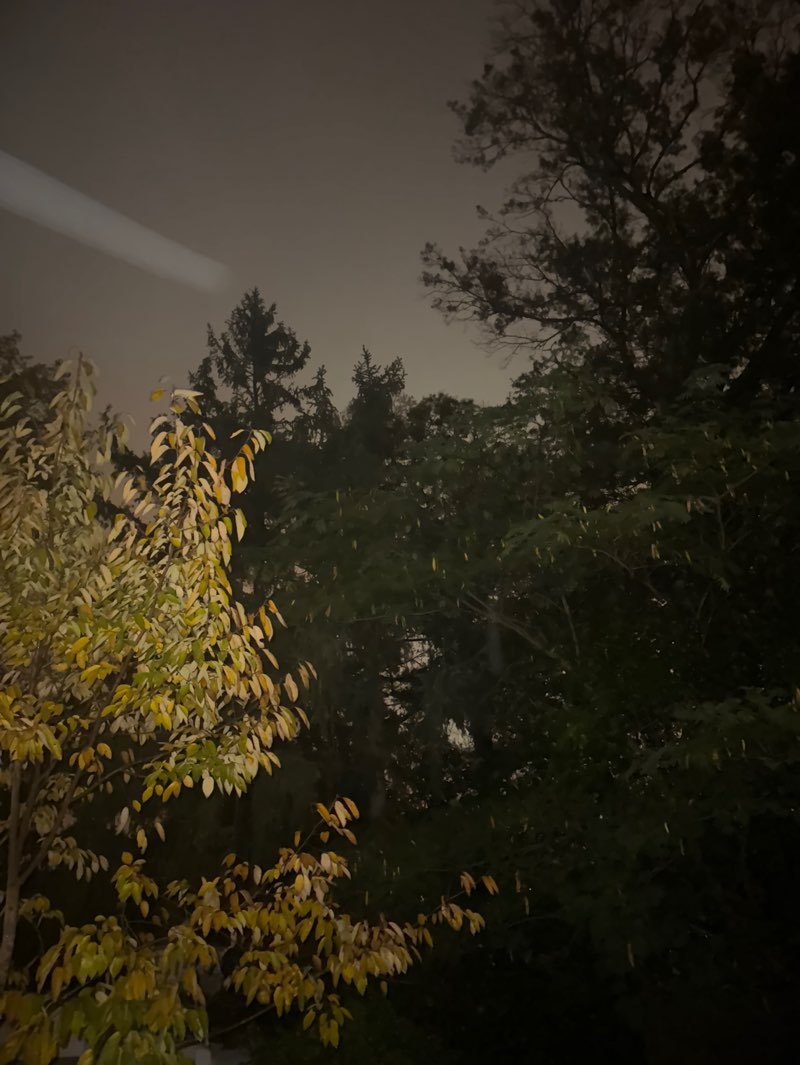 walking near me in Lollipop Park in autumn