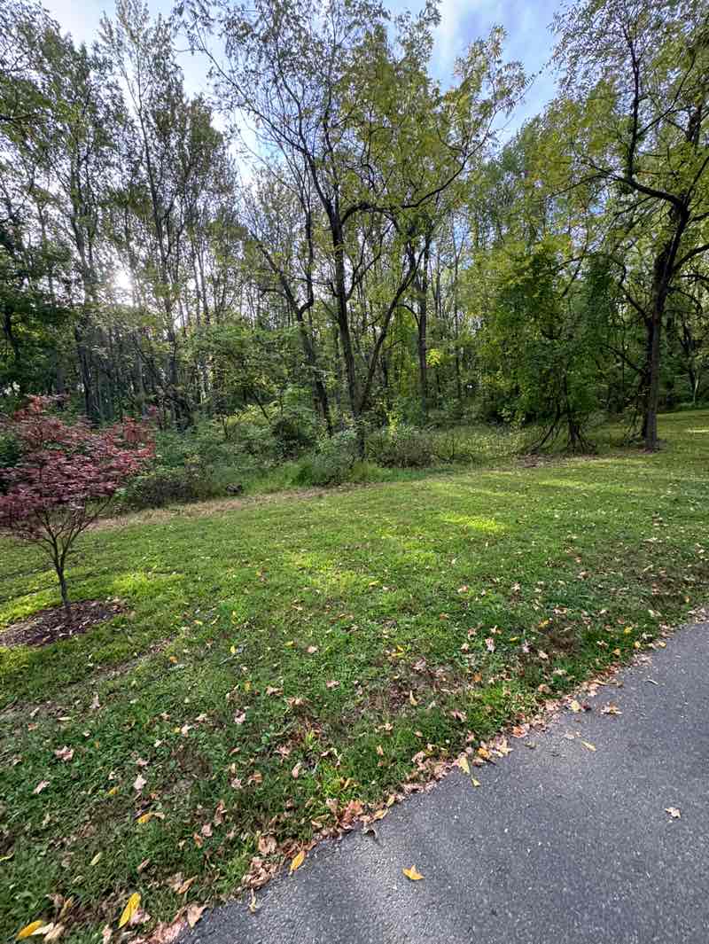 walking near me in Veterans Park in autumn