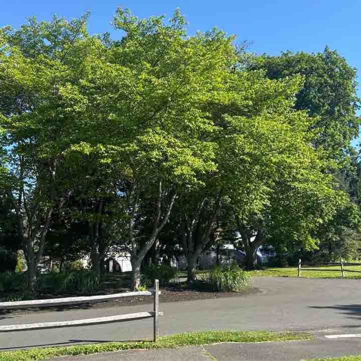 manouchl post 1