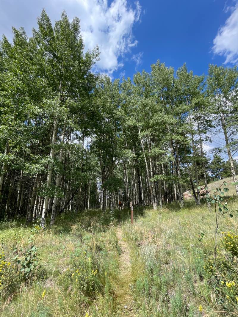 walking near me in Florissant Fossil Beds National Monument in winter
