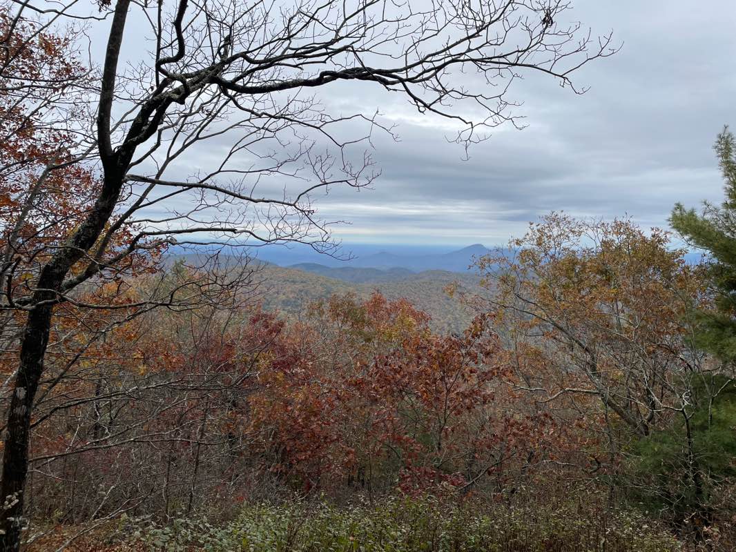 walking near me in Swallow Creek Wildlife Management Area in autumn
