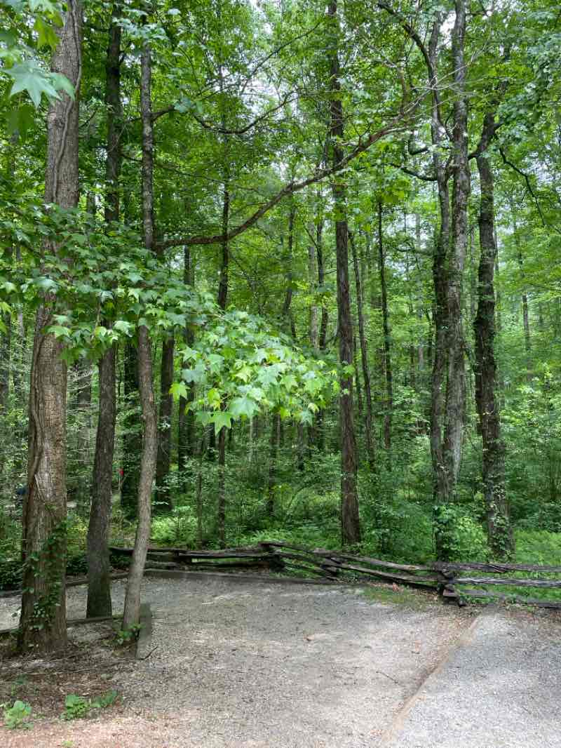 walking near me in Chestatee Wildlife Management Area in spring