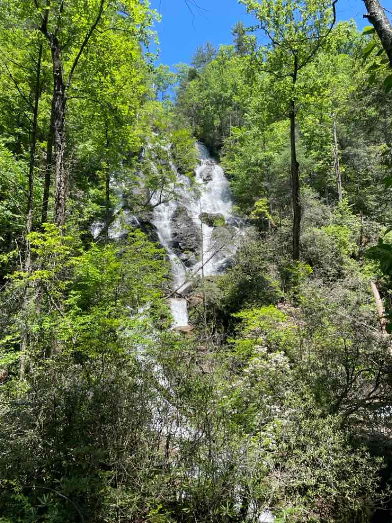 walking near me in Chattahoochee Wildlife Management Area in spring