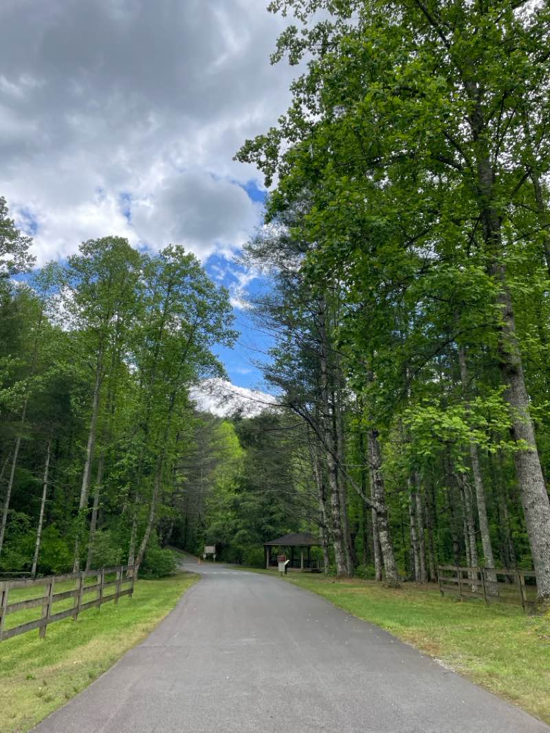 walking near me in Smithgall Woods State Park in spring