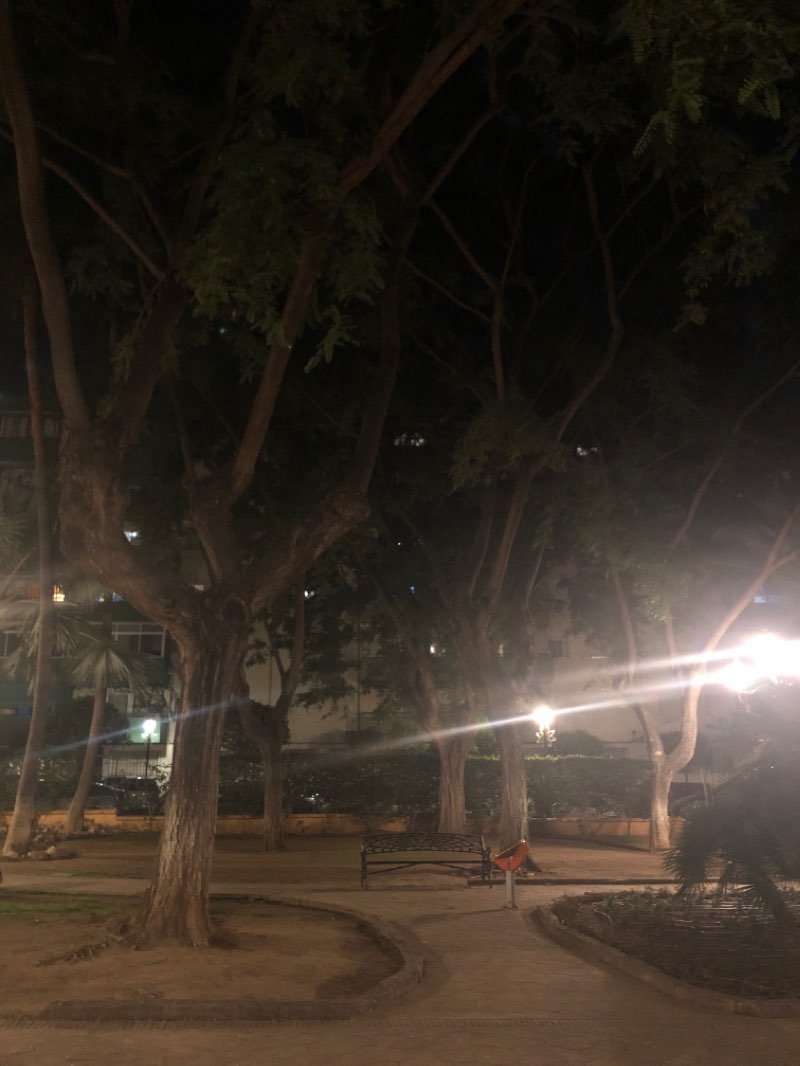 walking near me in Parque Los Naranjos in winter