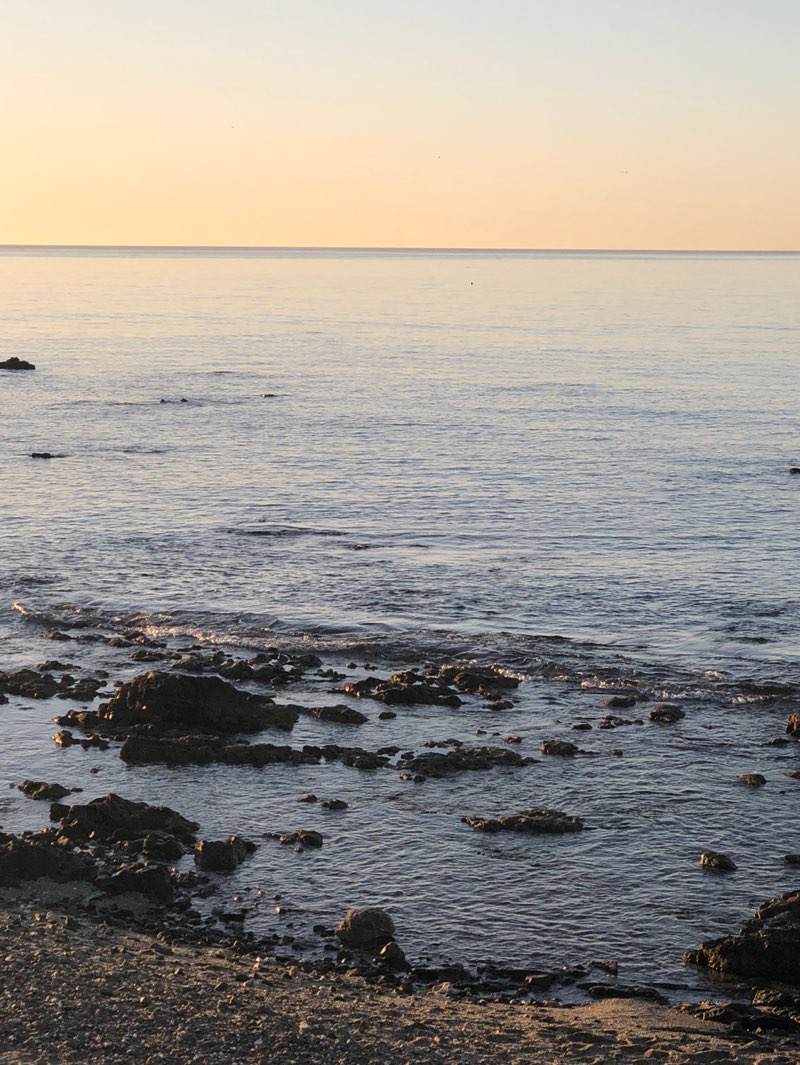 walking near me in Parque Fluvial Rio Fuengirola in winter
