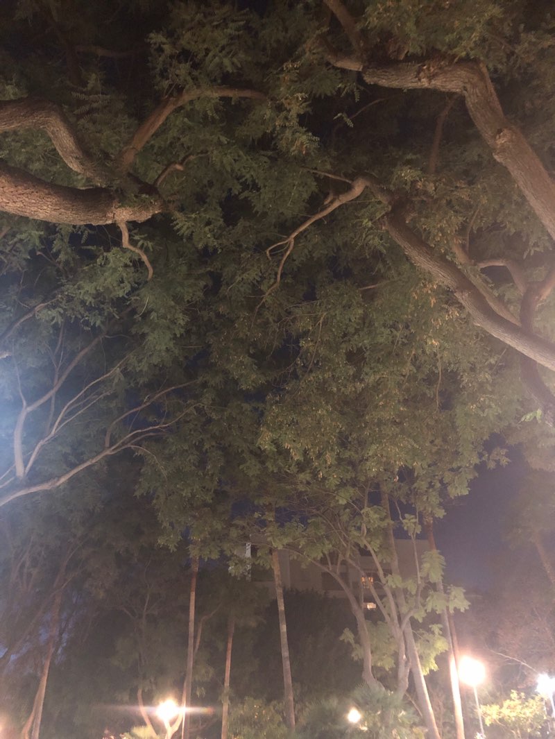 walking near me in Parque de las Damas in winter
