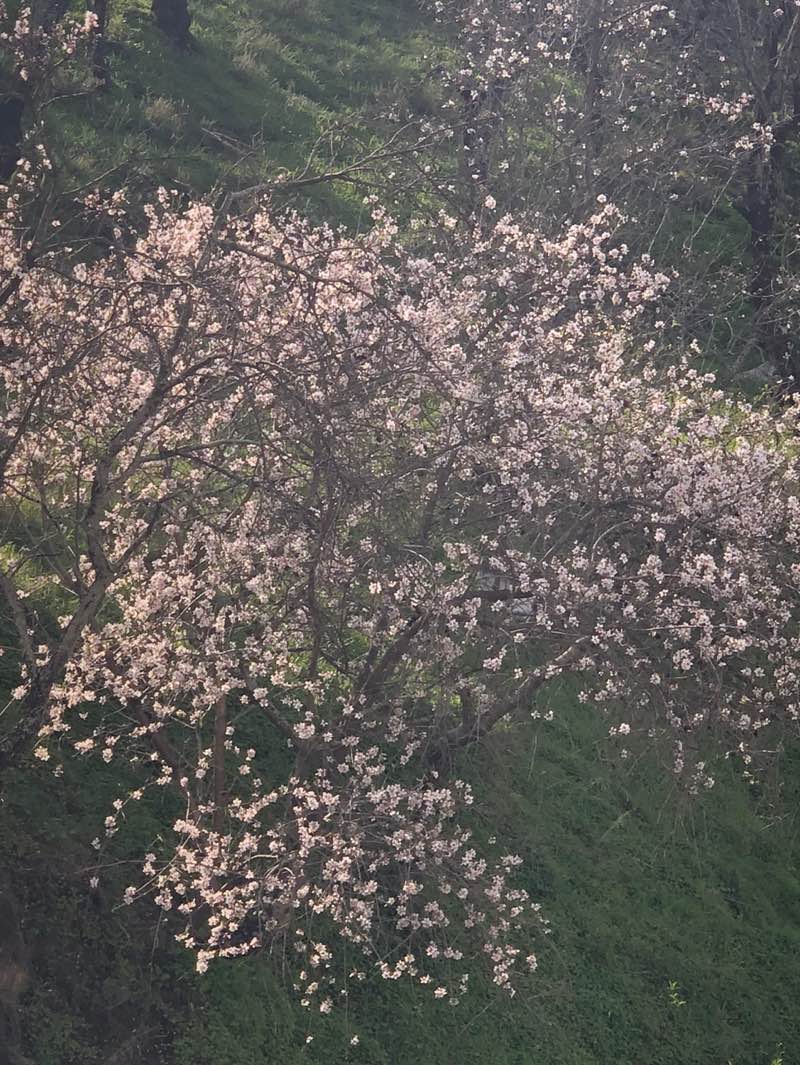 walking near me in Parque natural in winter