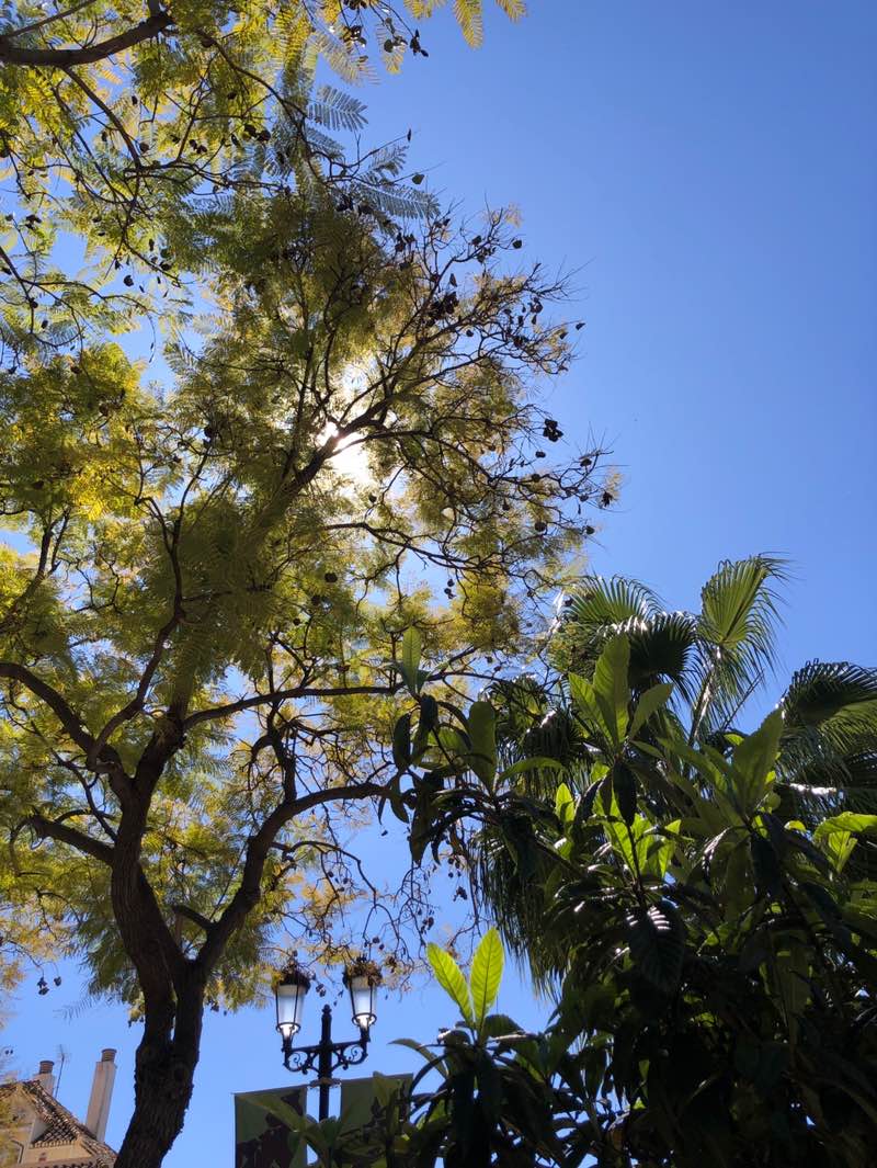 walking near me in Parque del Sol in spring