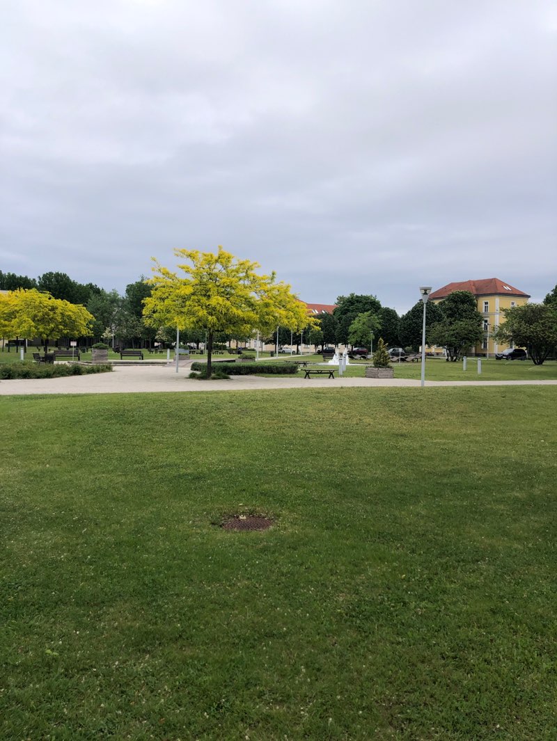 walking near me in Zöld Hullám in spring