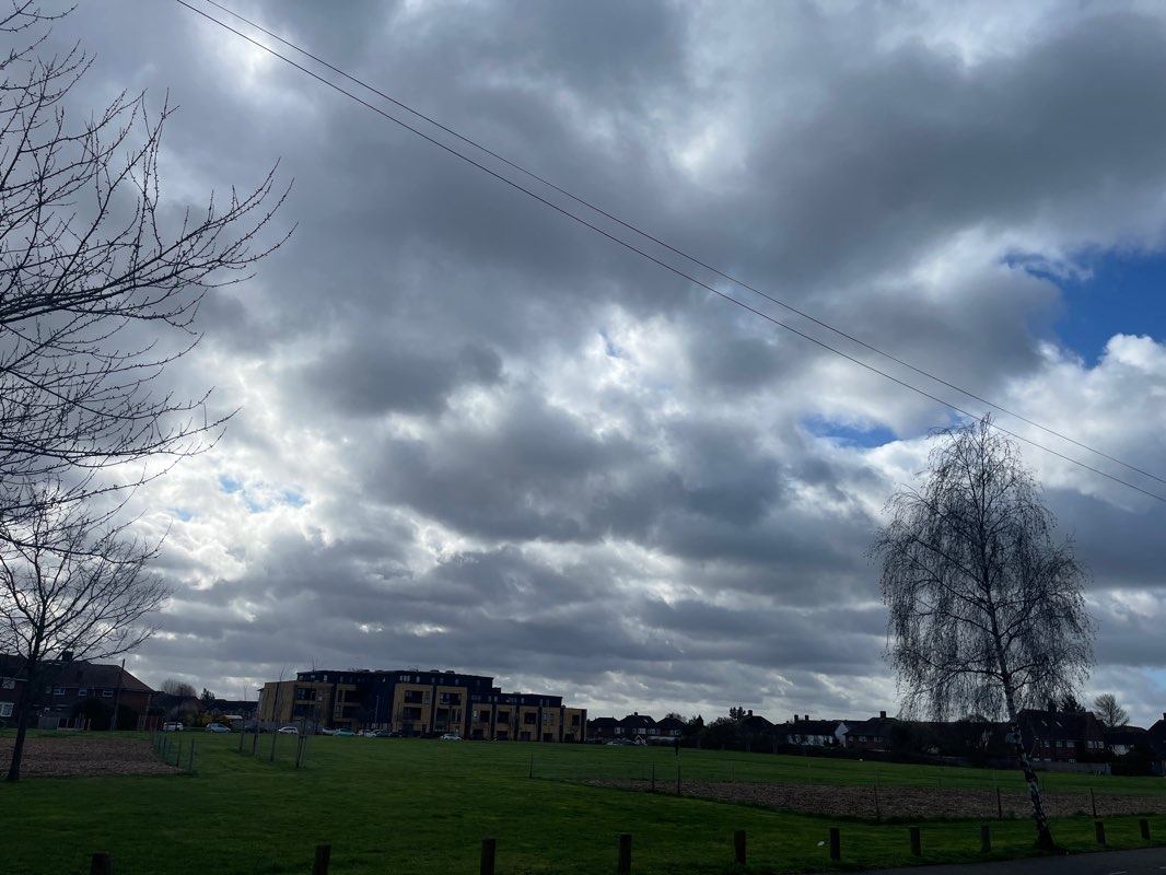 walking near me in Cage Park in winter