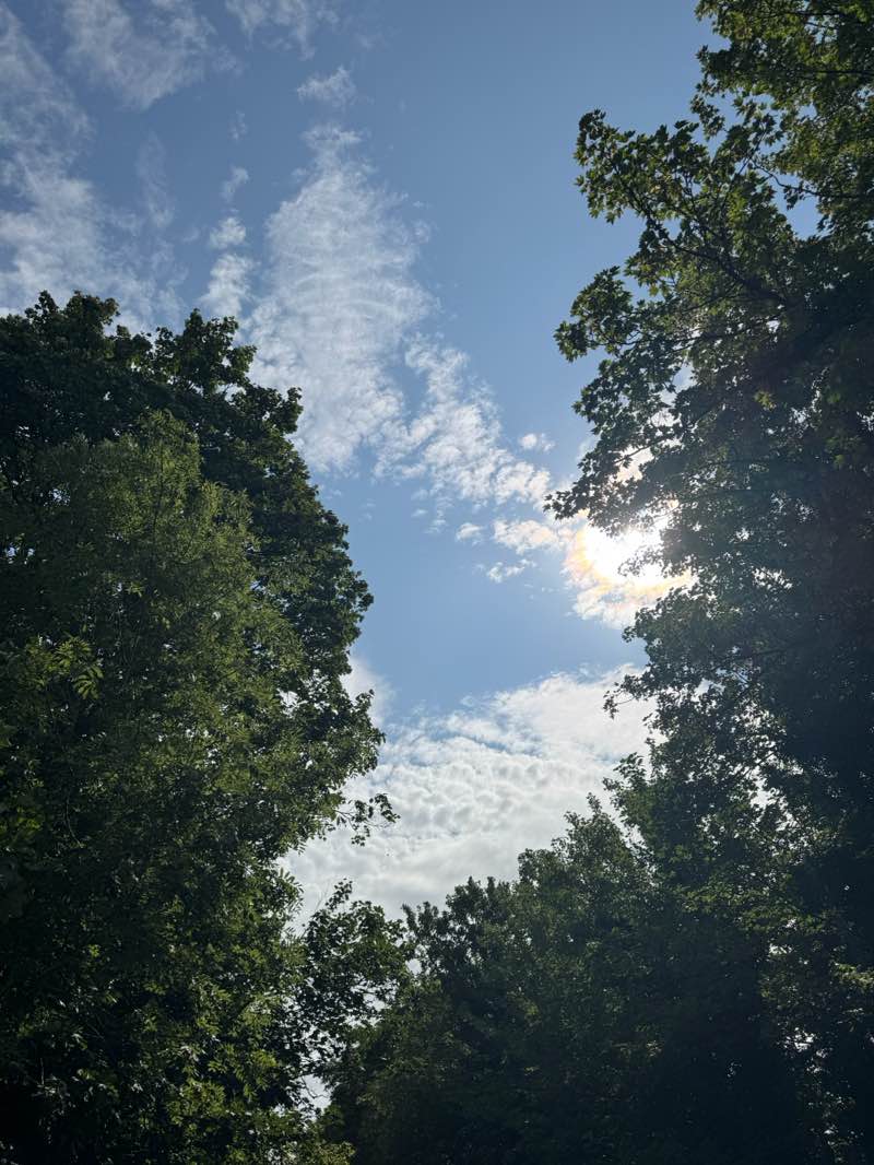 walking near me in Grovehill Playing Fields in summer