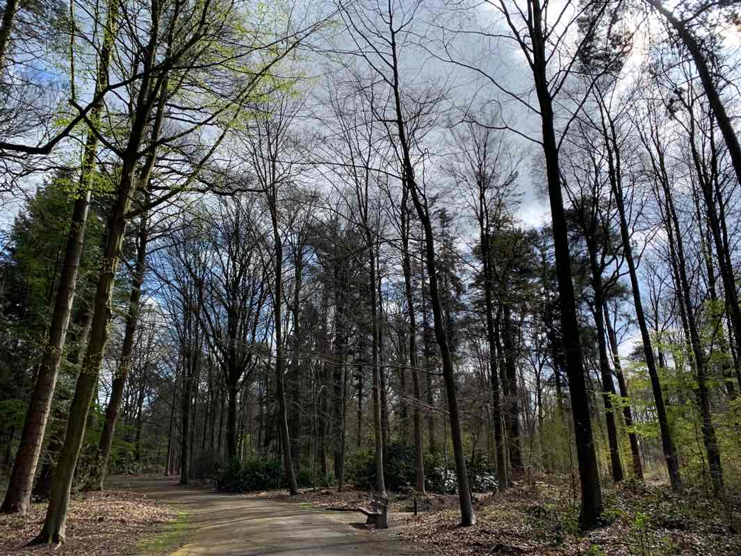 walking near me in Philips de Jongh Wandelpark in winter