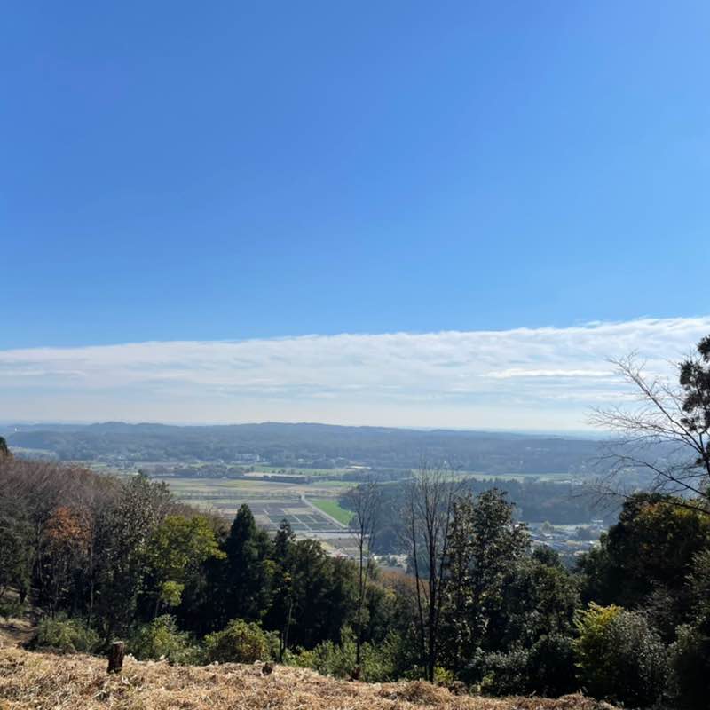 めぐちゃん post 1