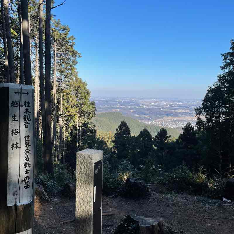 めぐちゃん post 1