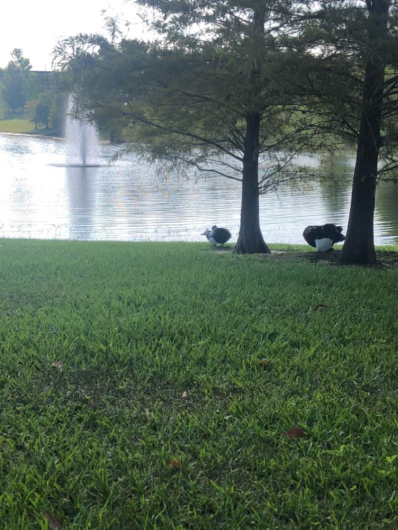 walking near me in Jessie Brock Community Center Park in winter