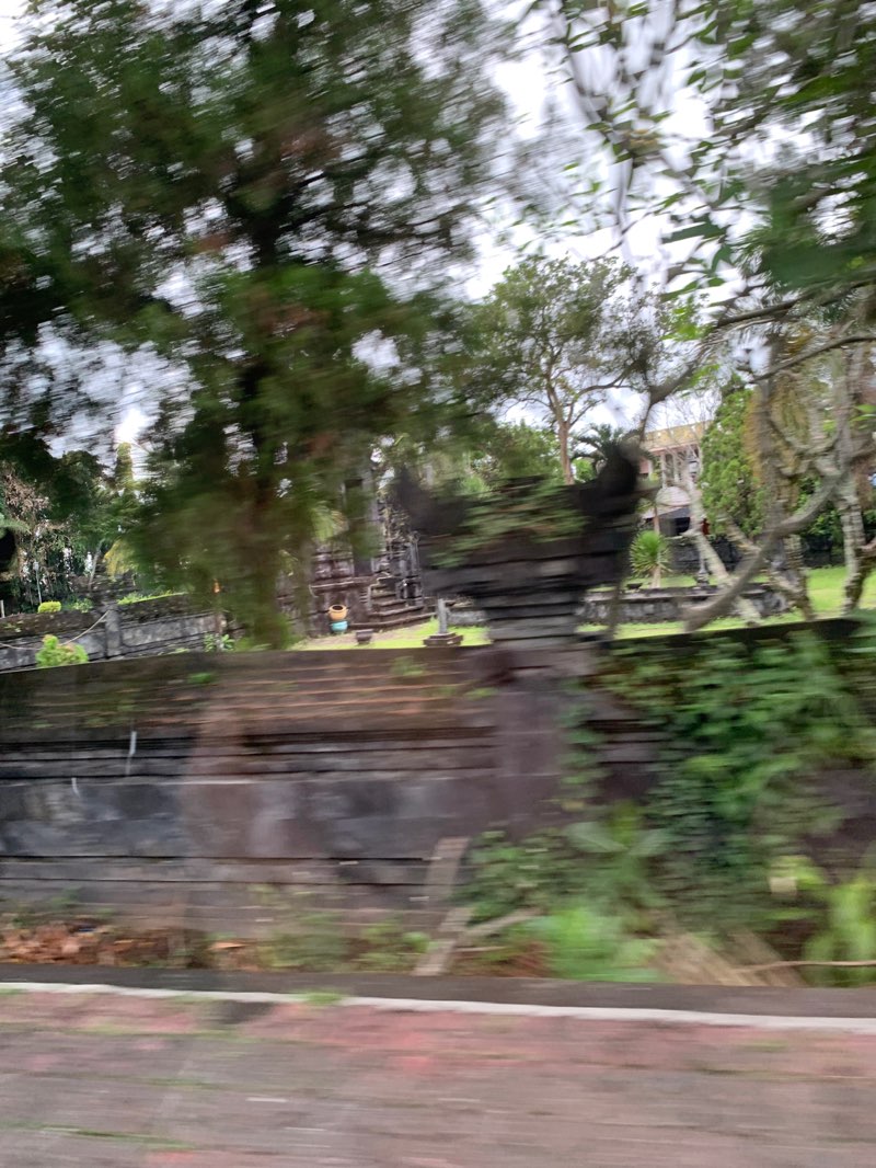 walking near me in Taman Pahlawan in spring