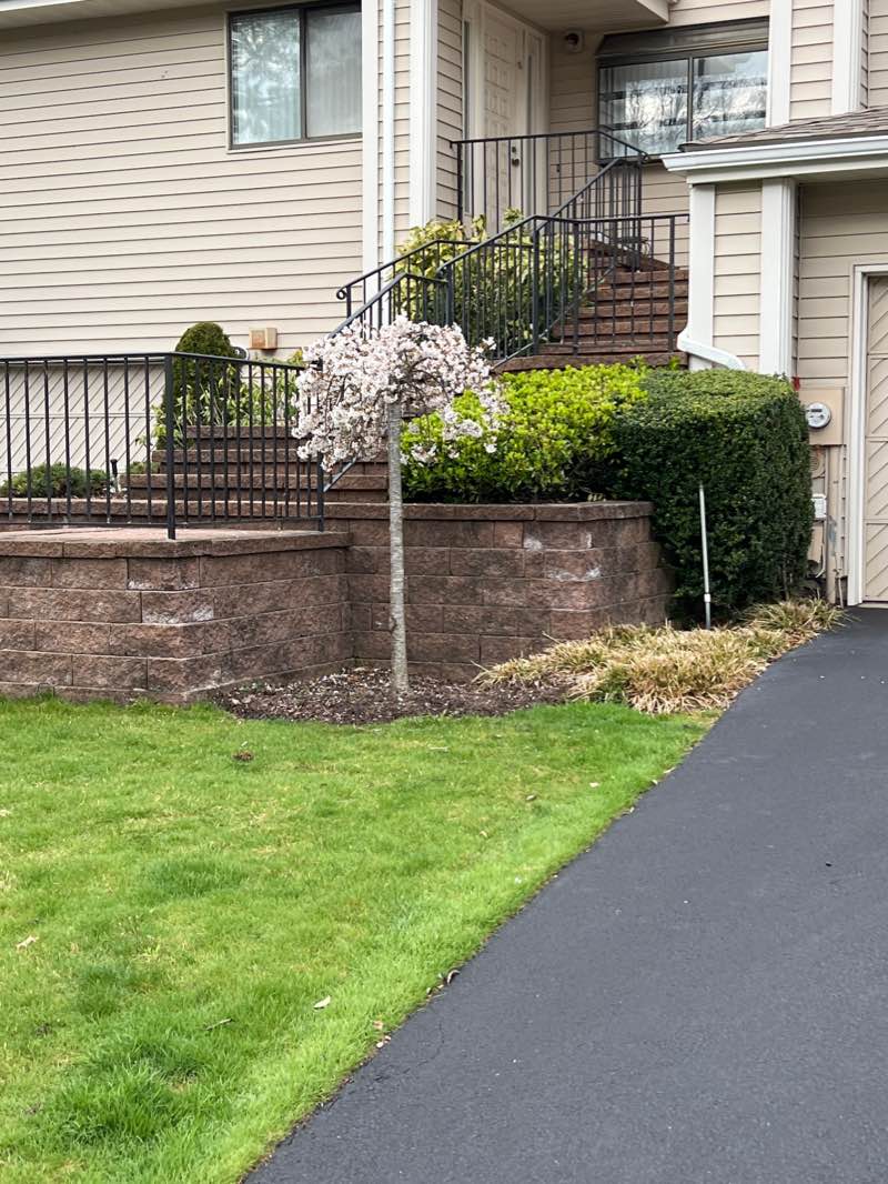 walking near me in Syosset Woodbury Community Park in winter