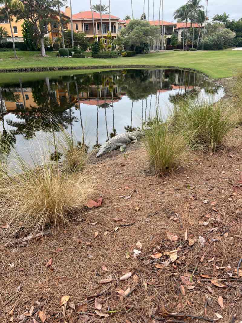 walking near me in Chapman Field Park in winter