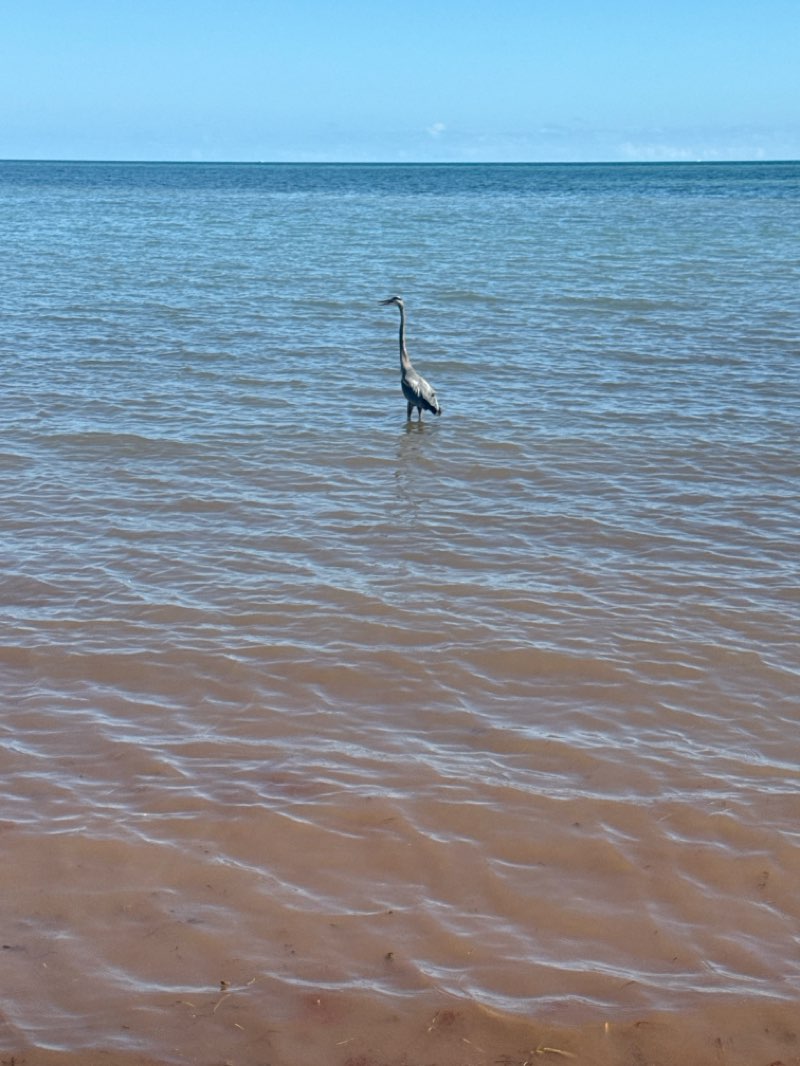 walking near me in Crandon Park in winter