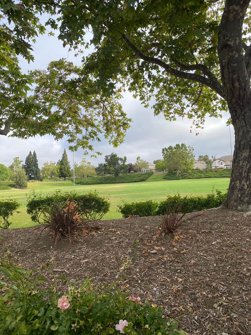walking near me in Diablo Vista Park in summer