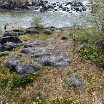 robertdevoy1972 post 1