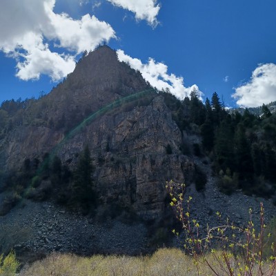 robertdevoy1972 post 1