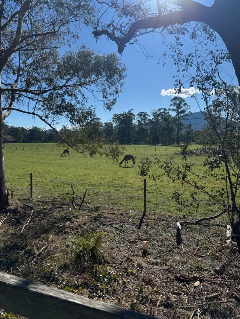 walking near me in Symes Road Park in spring