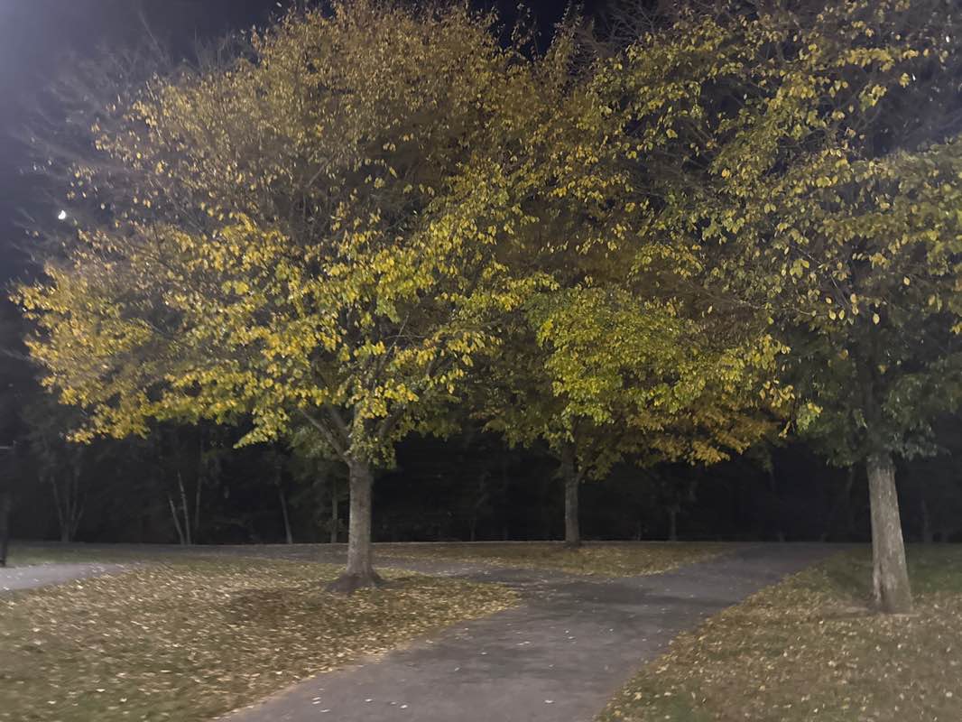 walking near me in Athenia Park in autumn